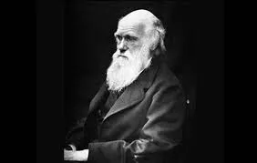 darwin
