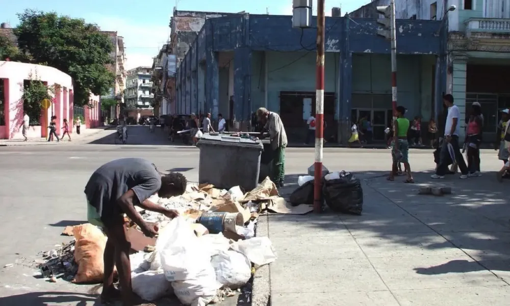 Captura de pantalla 2024-07-31 a la(s) 12.15.07 p.m.