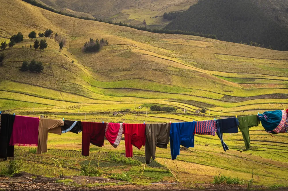 Captura de pantalla 2025-02-19 a la(s) 11.51.58 a.m.