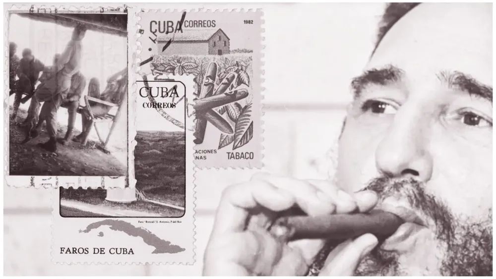 Diseño sin título