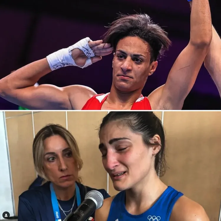 Captura de pantalla 2024-08-01 a la(s) 12.05.49 p.m.