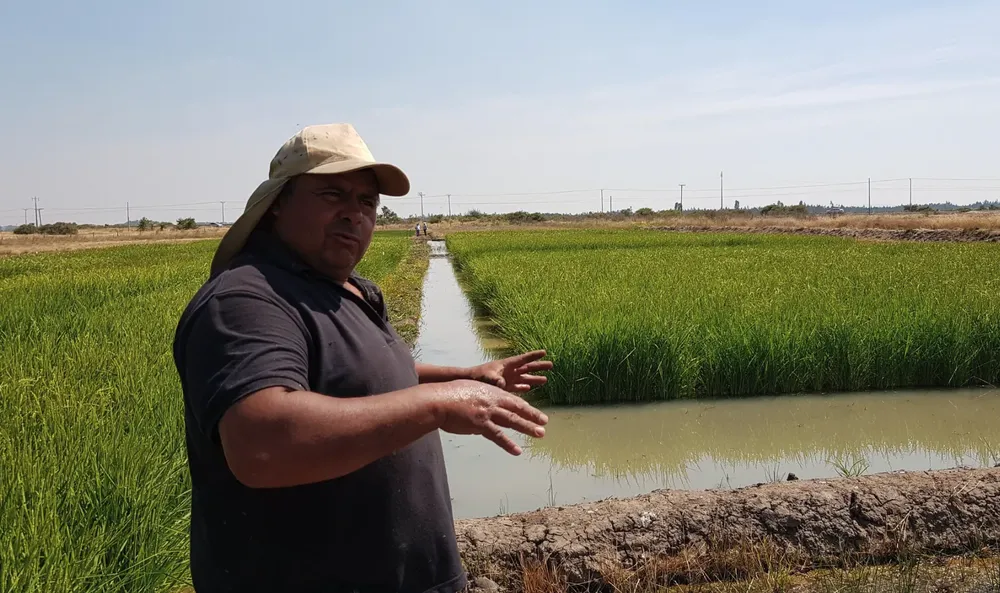 Captura de pantalla 2025-06-13 a la(s) 5.07.34 a.m.