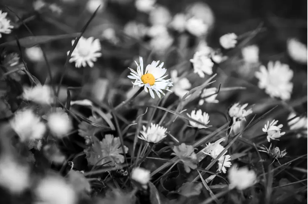 Captura de pantalla 2025-07-31 a la(s) 1.16.45 p.m.