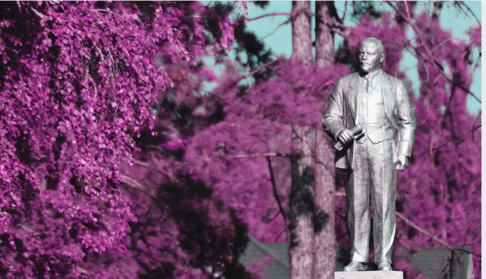 Captura de pantalla 2024-11-28 a la(s) 12.01.24 a.m.