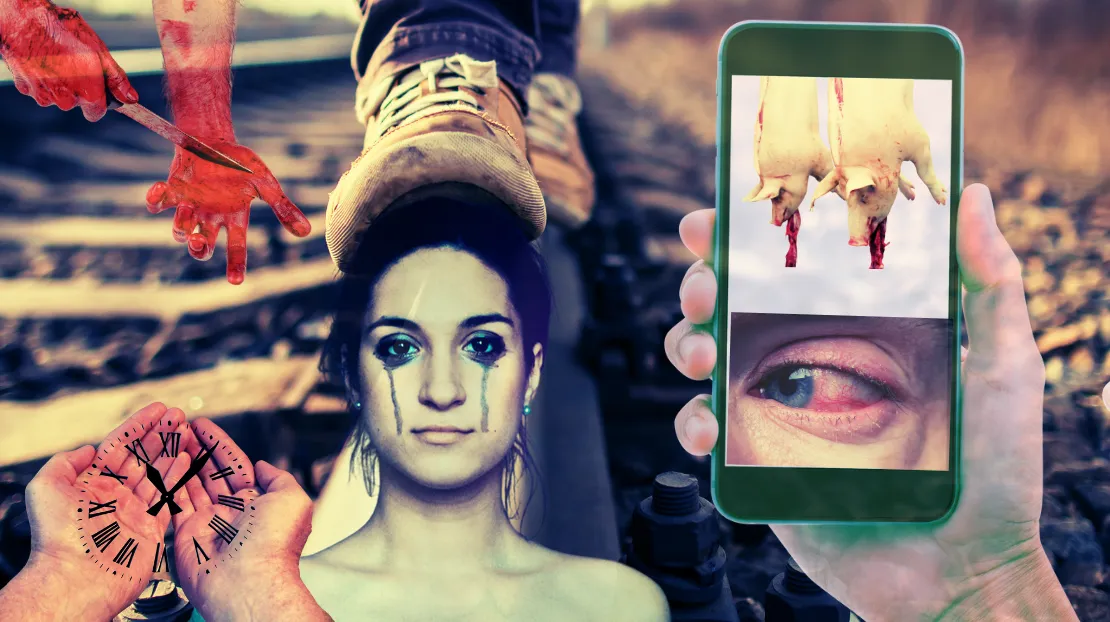 Captura de pantalla 2023-05-31 a la(s) 1.25.38 a.m.