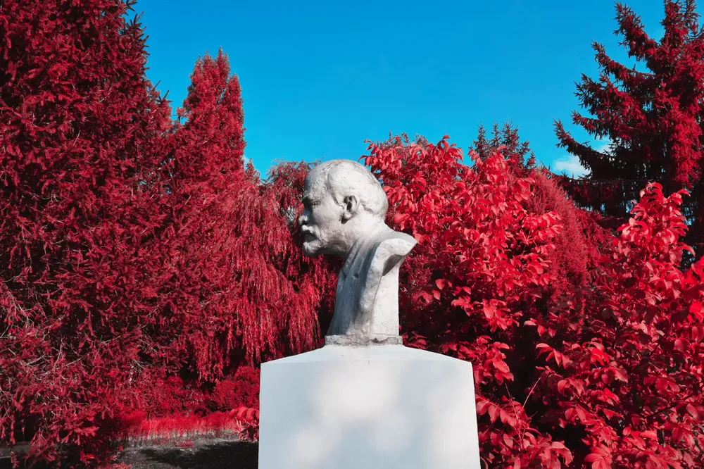 Captura de pantalla 2024-11-27 a la(s) 11.36.42 p.m.