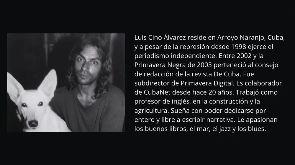 perfil luis cino