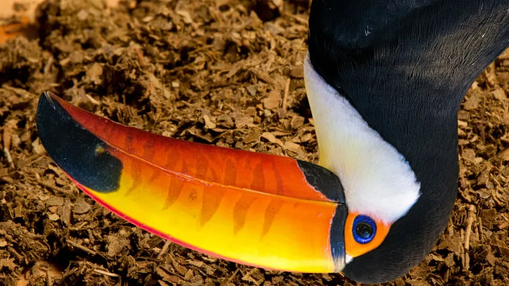 Diseño sin título